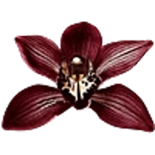🌺 Эмодзи «red&black» для Telegram