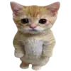 🐈 Эмодзи «redline &» для Telegram