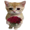 🐈 Эмодзи «redline &» для Telegram