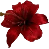 🤩 Эмодзи «Red Mood» для Telegram