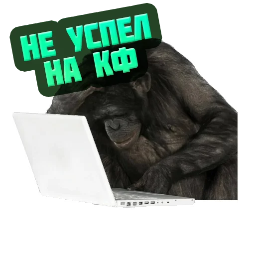 😒 Стикер «reiting_kapperov» для Telegram