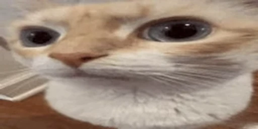 😐 Стикер «Relanit Animated 2» для Telegram