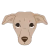 🍪 Эмодзи «Dogs» для Telegram