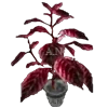 👁 Эмодзи «Bloody Ribbons» для Telegram