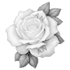 🌹 Эмодзи «Resident Angelic» для Telegram