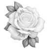🌹 Эмодзи «Resident Angelic» для Telegram
