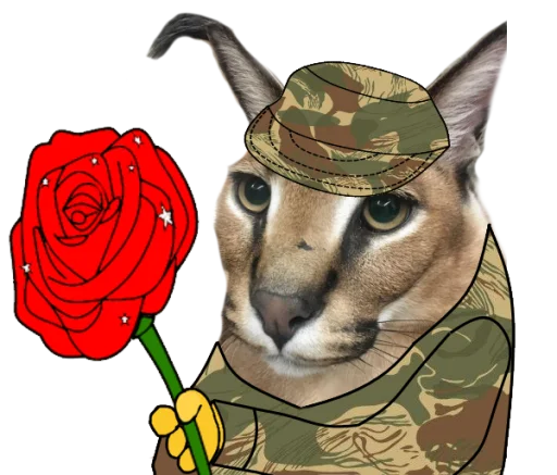 ♥️ Стикер «Fan Rhodesian Pack» для Telegram