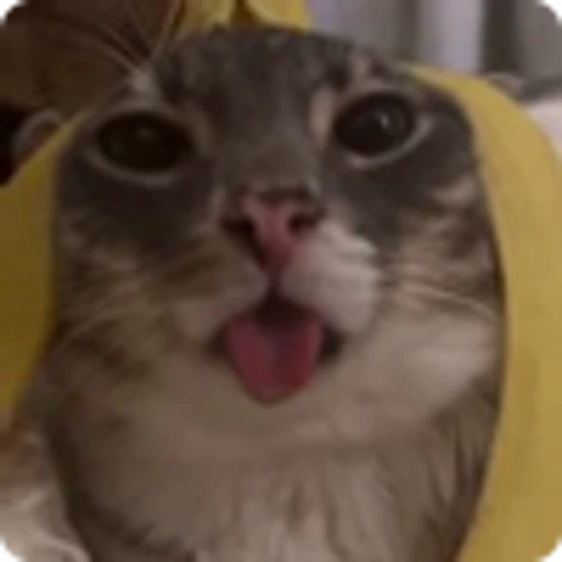 🍌 Эмодзи «Rig» для Telegram