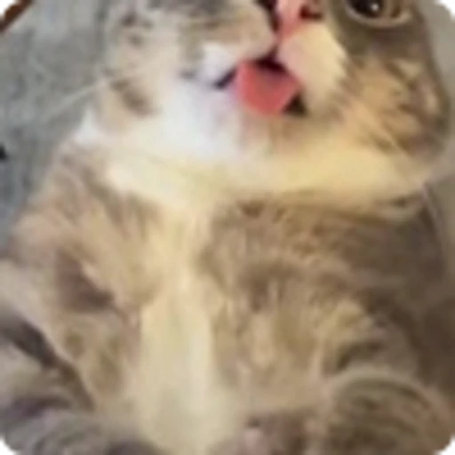 😜 Эмодзи «Rig» для Telegram
