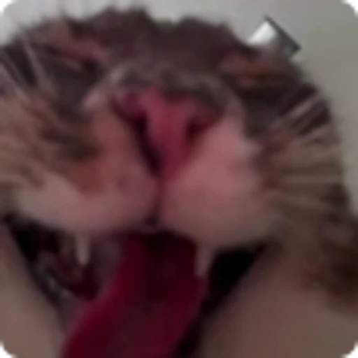 👹 Эмодзи «Rig» для Telegram