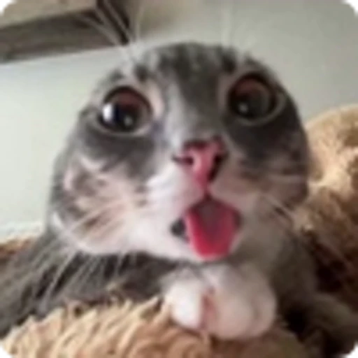 👽 Эмодзи «Rig» для Telegram