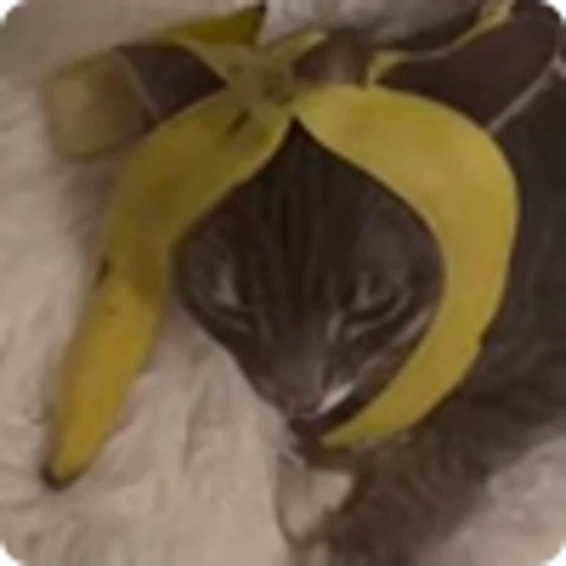 🍌 Эмодзи «Rig» для Telegram