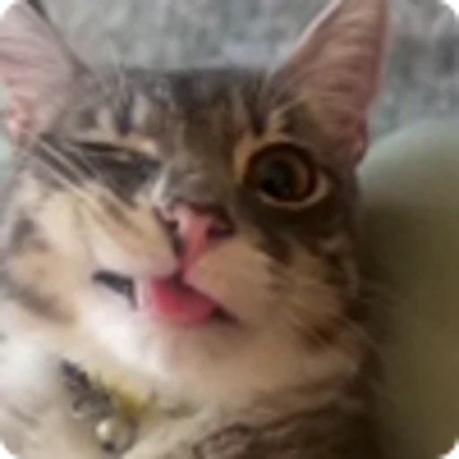 🫦 Эмодзи «Rig» для Telegram