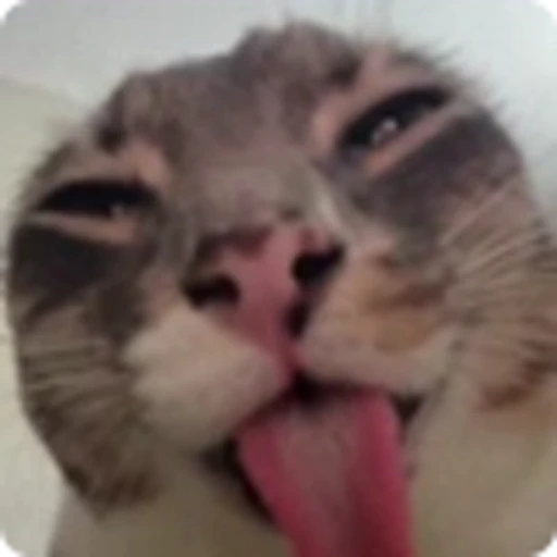 👅 Эмодзи «Rig» для Telegram