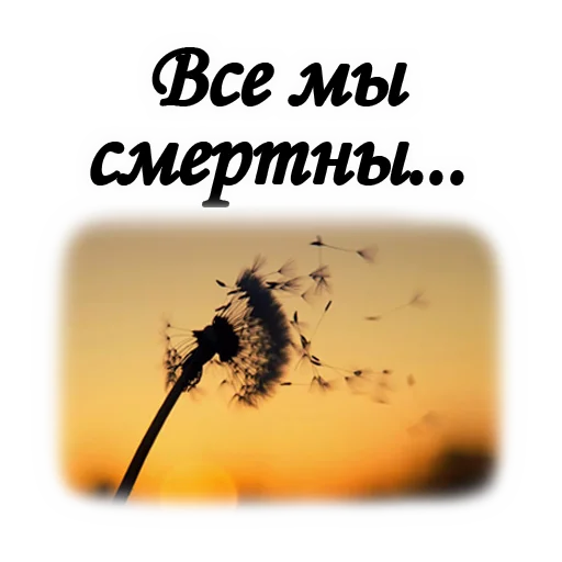 😎 Стикер «Вечная ПАМЯТЬ» для Telegram