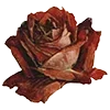 🌹 Эмодзи «Love Rjor» для Telegram