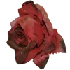 🤩 Эмодзи «Love Rjor» для Telegram