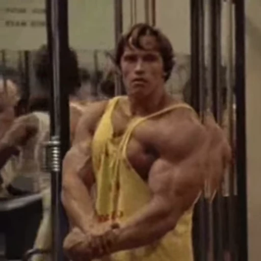 🧠 Стикер «Arnold Schwarzenegger» для Telegram