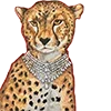 💎 Эмодзи «Roarrr» для Telegram