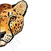 🐯 Эмодзи «Roarrr» для Telegram