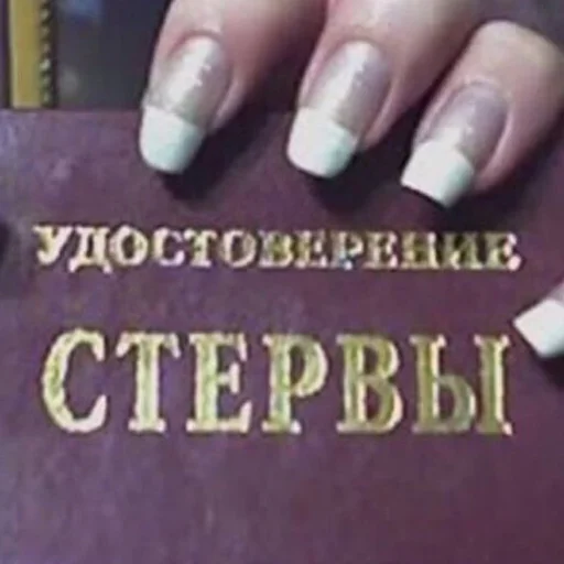 🪪 Стикер «Rofl» для Telegram