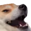 😁 Эмодзи «Roflmoji» для Telegram