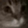 😺 Эмодзи «Roflmoji» для Telegram