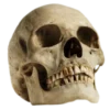 💀 Эмодзи «A$AP» для Telegram