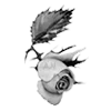 🌹 Эмодзи «rose garden #girl» для Telegram
