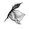 🌹 Эмодзи «rose garden #girl» для Telegram