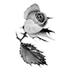 🌹 Эмодзи «rose garden #girl» для Telegram