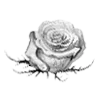 🌹 Эмодзи «rose garden #girl» для Telegram