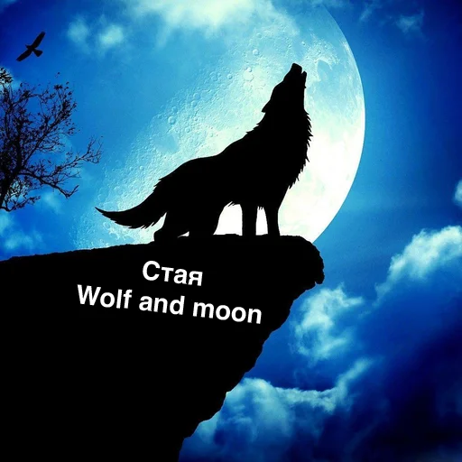 🐺 Стикер «Royal Family» для Telegram