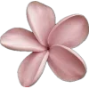 🤩 Эмодзи «rozyya&;s random pack» для Telegram