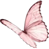🤩 Эмодзи «rozyya&;s random pack» для Telegram