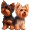 🐶 Эмодзи «Random ₅» для Telegram