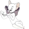 🐱 Эмодзи «Random ₅» для Telegram