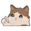 🥲 Эмодзи «🐱🐱 random emoji» для Telegram