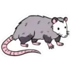 🐭 Эмодзи «🐱🐱 random emoji» для Telegram