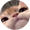 🐱 Эмодзи «🐱🐱 random emoji» для Telegram