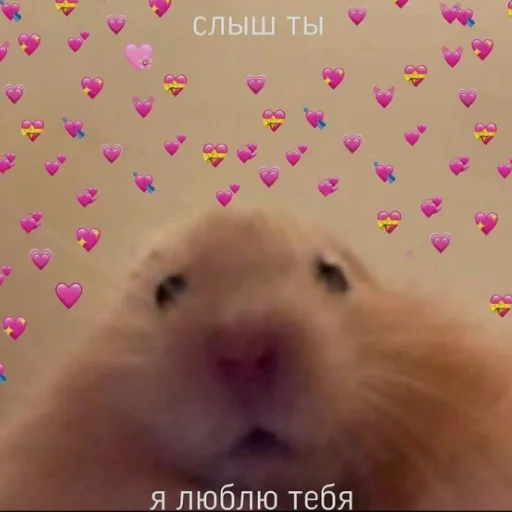 ♥️ Стикер «luv» для Telegram