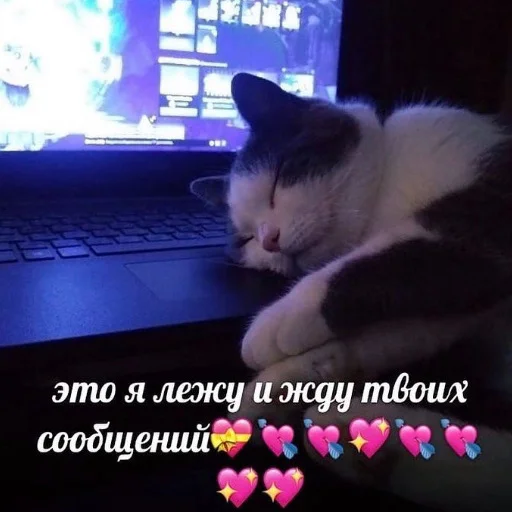 💝 Стикер «luv» для Telegram