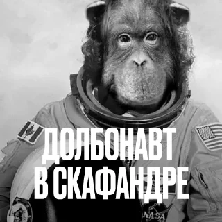 👨‍🚀 Стикер «Креативно Ругаем Студентов» для Telegram