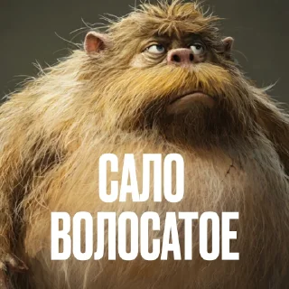 💇 Стикер «Креативно Ругаем Студентов» для Telegram