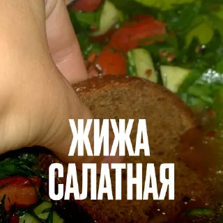 🥗 Стикер «Креативно Ругаем Студентов» для Telegram