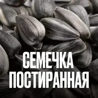 🌻 Стикер «Креативно Ругаем Студентов» для Telegram