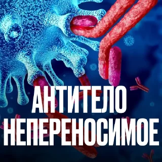 🫃 Стикер «Креативно Ругаем Студентов» для Telegram