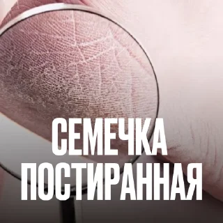 🧺 Стикер «Креативно Ругаем Студентов» для Telegram
