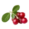 🍒 Эмодзи «Русская эстетика #status» для Telegram