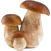 🍄 Эмодзи «Русская эстетика #status» для Telegram